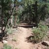 Drew Trail #291