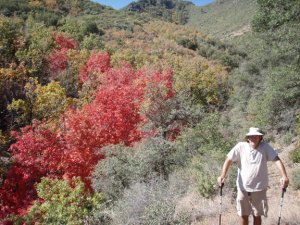 Thicket spring mine (squaw flat) Thicket spring mine (squaw flat)