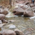 Reavis Falls