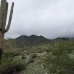 Quartz Trail