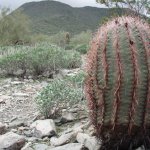 Quartz Trail