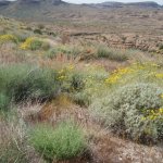 Apache Trail Canyon