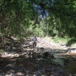 Red Creek
