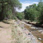 Red Creek