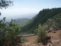 Mingus Mountain Loop hike