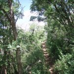 Mingus Mountain Loop hike