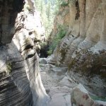 Bear Canyon Bear Canyon