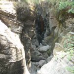 Bear Canyon Bear Canyon