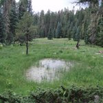 Indian Springs Indian Springs