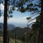 Mount Lemmon Trail Mount Lemmon Trail