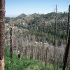 Wilderness of Rock (via the Mint Spring trail)