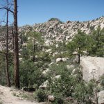 Wilderness of Rock (via the Mint Spring trail)