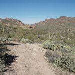 Javelina Mine Trail Javelina Mine Trail