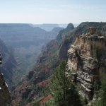Widforss Trail Widforss Trail