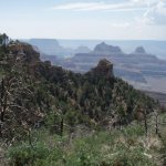 Widforss Trail Widforss Trail