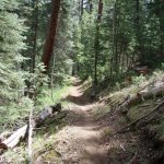 Rainbow Rim trail #10