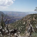 Rainbow Rim trail #10