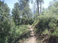 Sierra Prieta