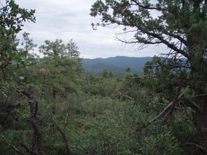 Mount Francis