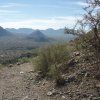 San Tan Regional Park - Out and Back to the Graves