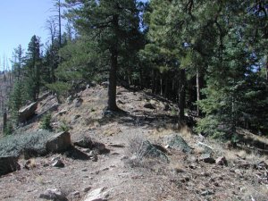 Elden to Sunset Trail to Heart Trail loop hike Elden to Sunset Trail to Heart Trail loop hike
