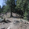 Elden to Sunset Trail to Heart Trail loop hike