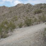 Shadow Mountain (Circumference Trail and Summit Trail) Shadow Mountain (Circumference Trail and Summit Trail)