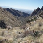 Seven Falls (via Bear Canyon Trail)