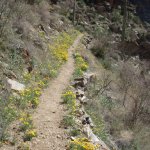 Seven Falls (via Bear Canyon Trail)