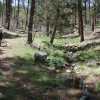 Miller Creek Trail