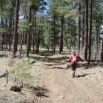 Gaddes Canyon Trail #9037 (Upper)