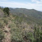 Coleman Trail #108 Coleman Trail #108