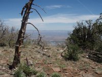 Coleman Trail #108