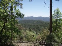Watershed trail to Sevenmile Gulch trail