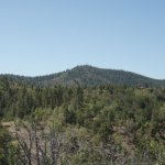Watershed trail to Sevenmile Gulch trail