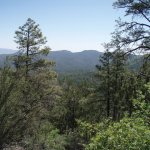 Watershed trail to Sevenmile Gulch trail
