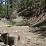 Watershed trail to Sevenmile Gulch trail