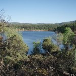 Watershed trail to Sevenmile Gulch trail