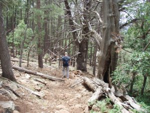 Donahue Trail