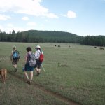 Los Burros Trail #631