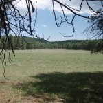 Los Burros Trail #631