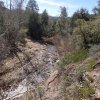 Reavis Ranch (From Reavis trailhead)
