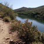 Butcher Jones Trail #463