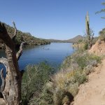 Butcher Jones Trail #463