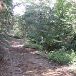 Six Shooter Trail
