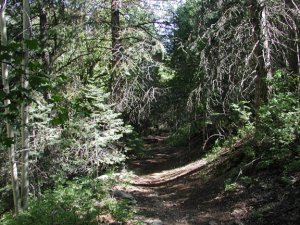 Six Shooter Trail