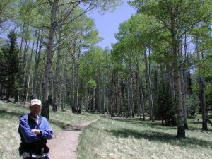 Kachina Trail Kachina Trail