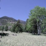 Kachina Trail Kachina Trail
