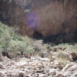 Peter's Cave