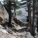 Elden Lookout